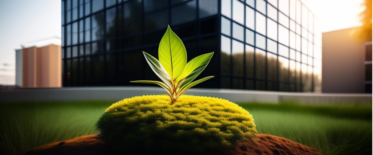 Building a Sustainable Future: The Power of Green Construction | MCG ...